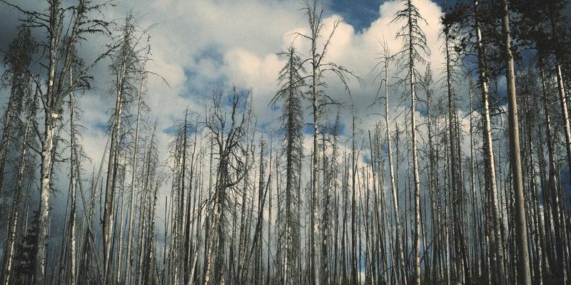 400G/800G高速以太网技术演进：数据中心光互联的挑战与IT工具创新