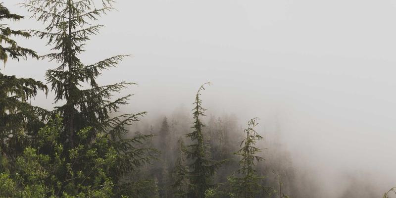 400G以太网技术：驱动超大规模数据中心进化的核心引擎