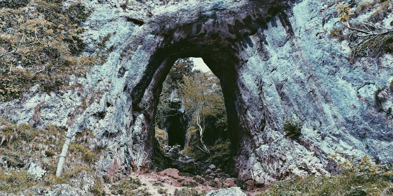 H29188：从技术博客到编程教程，解码现代网络技术50核心