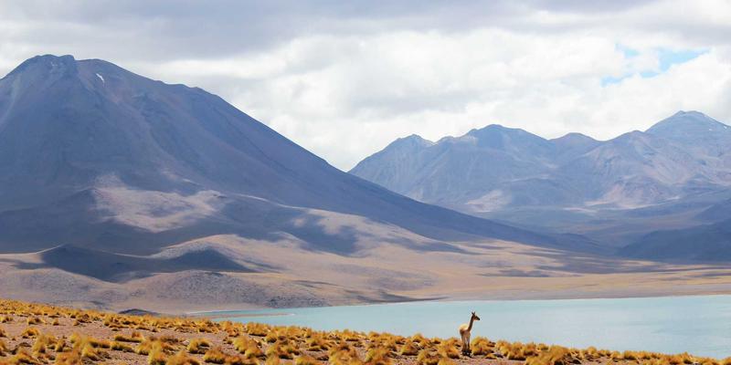 IT工具与网络技术融合：时间敏感网络如何重塑工业自动化