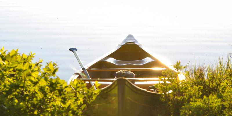 IT工具与软件开发:技术博客如何成为现代开发者的效率引擎