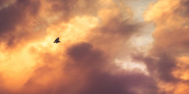 网络技术14深度解析：如何用IT工具与H29188提升技术博客价值