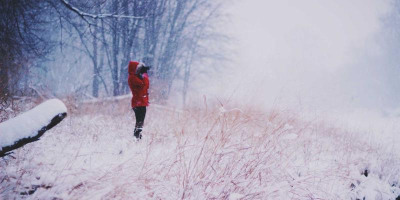 网络技术29：构建技术博客与高效资源分享的进阶指南