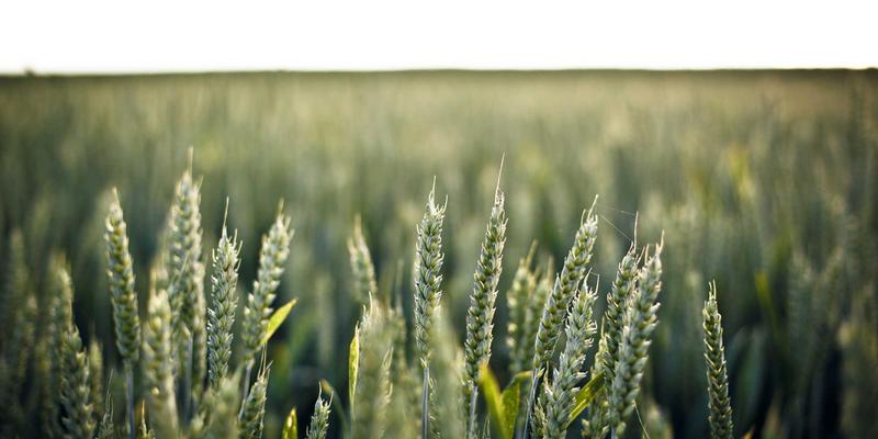 网络技术30:重塑软件开发流程的IT工具与最佳实践