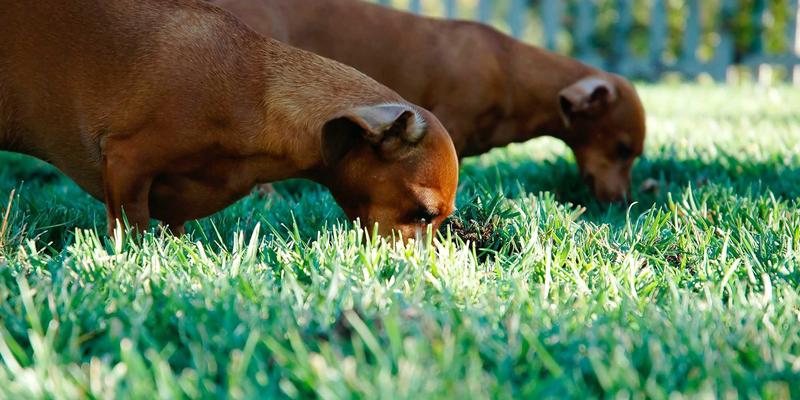 网络技术33:揭秘H29188等IT工具如何重塑技术博客的价值