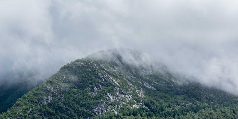 网络技术38：资源分享、IT工具与编程教程的开发者进阶指南