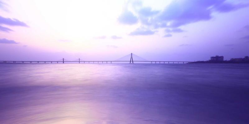 网络技术40时代：从编程教程到软件开发的实战跃迁