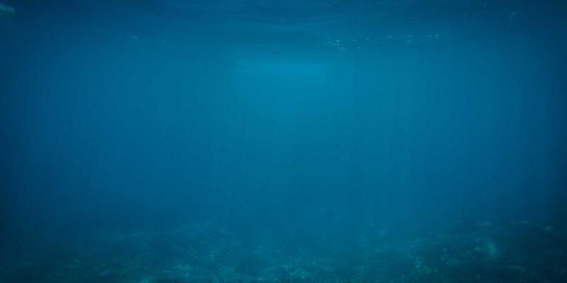 网络技术46:从编程教程到H29188资源分享的完整学习路径