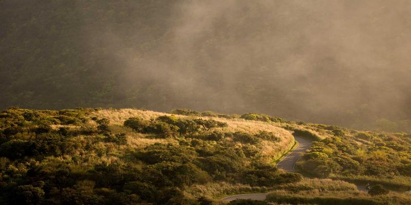 网络技术52：软件开发资源与编程教程的实用指南