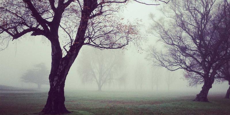 网络自动化运维实战：基于Ansible的网络配置与合规检查技术指南